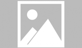 娱乐圈摆烂吃瓜小说推荐,吃瓜群众眼中的明星生活揭秘